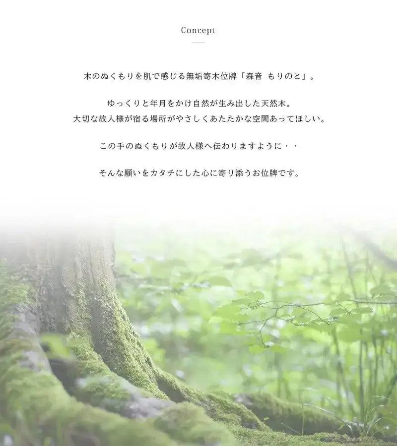 森音シリーズのコンセプトについて