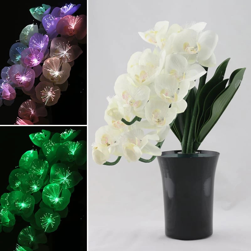 霊前灯 グランドルミナス 胡蝶蘭 3本立 | 仏具の通販 | インテリア仏壇