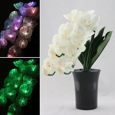 霊前灯 グランドルミナス 胡蝶蘭 3本立メイン画像01