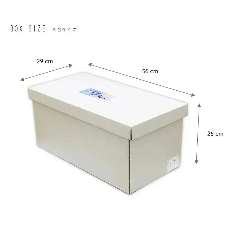 モダン行灯「朝顔」盆提灯の梱包サイズをご紹介しています。