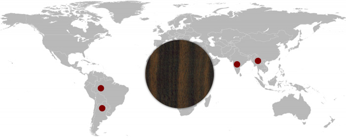 黒檀はインドやインドネシアで産出