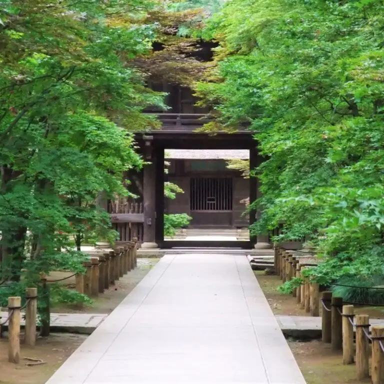 49日法要を寺院またはセレモニーホールで行う場合の準備から流れ