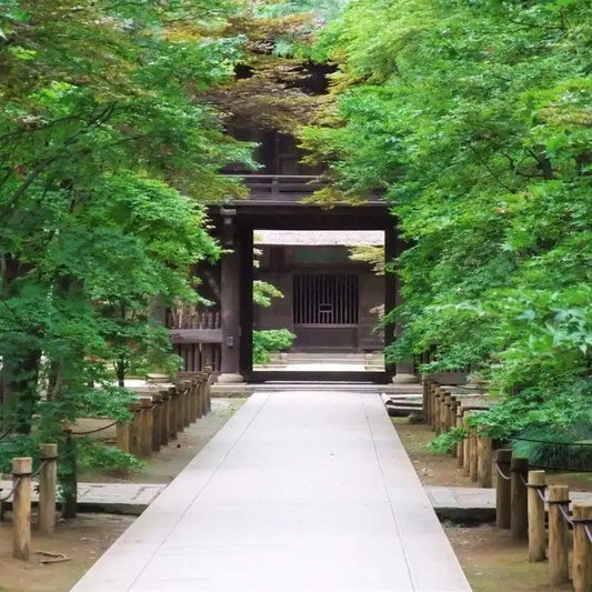 四十九日法要を寺院・セレモニーホールで行う場合の「事前準備・法要の流れ・施主挨拶」など全て教えます。