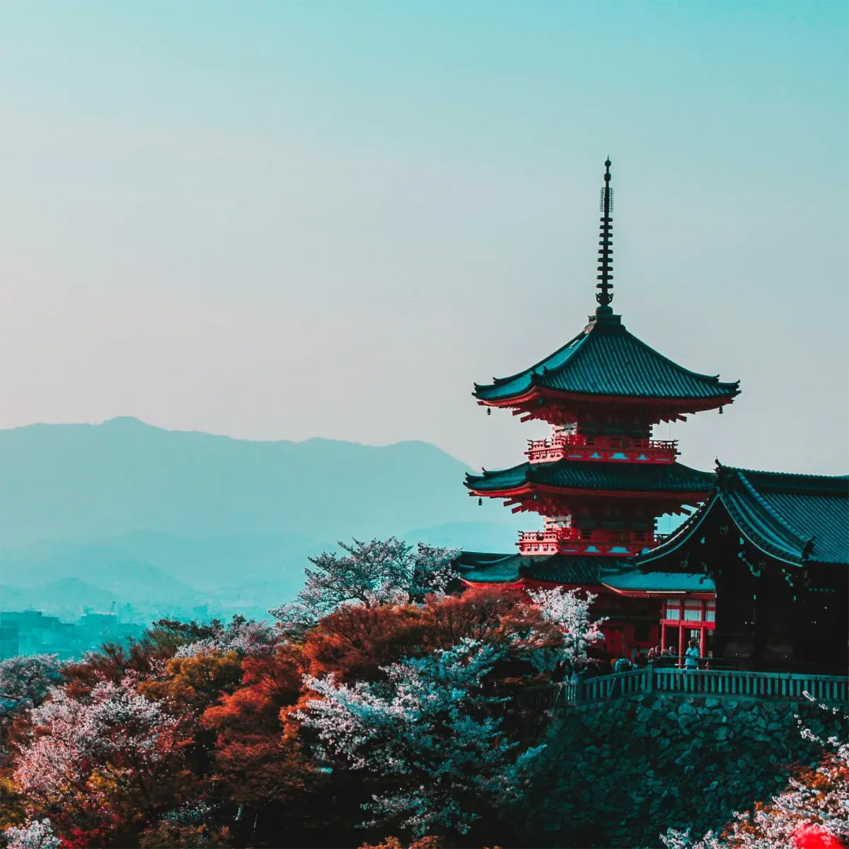 京都で作られた国産位牌