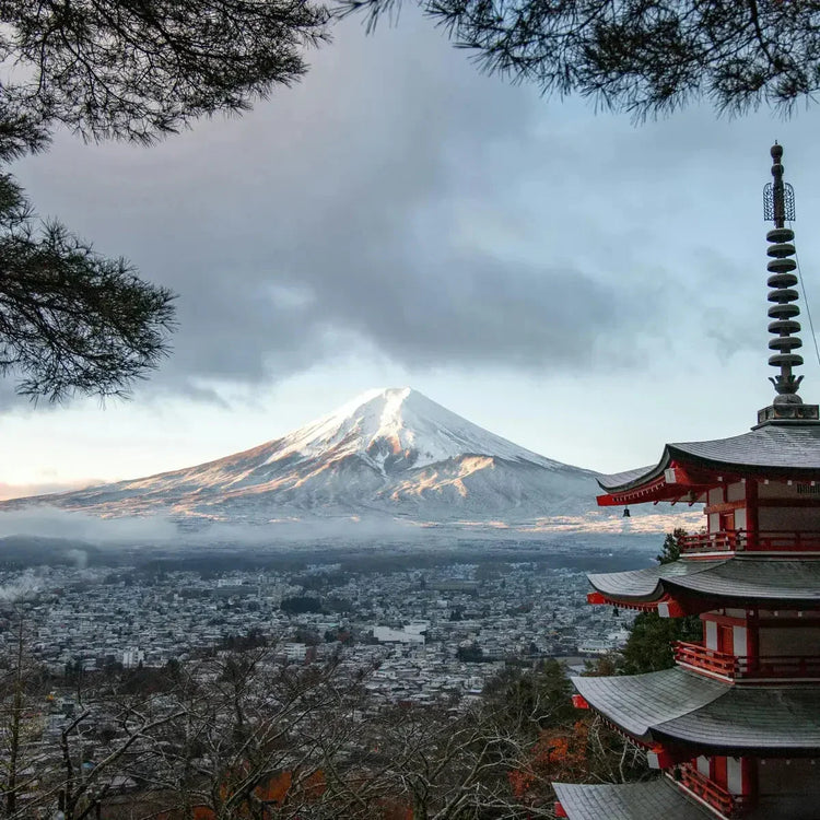 静岡で作られた国産位牌 インテリア仏壇 ルミエール