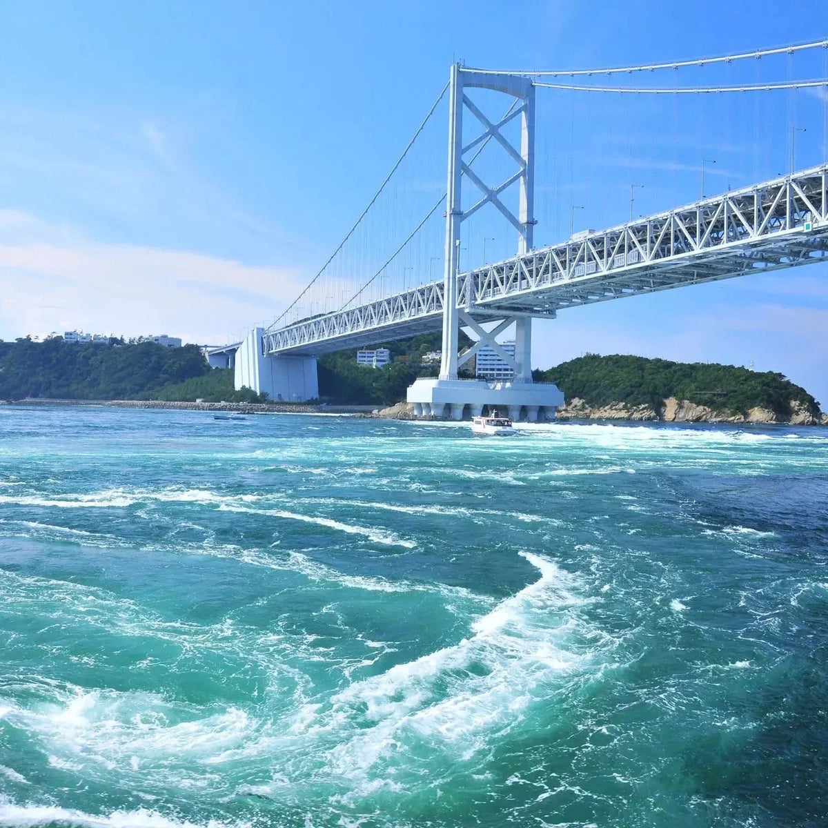 徳島で作られた国産位牌 インテリア仏壇 ルミエール