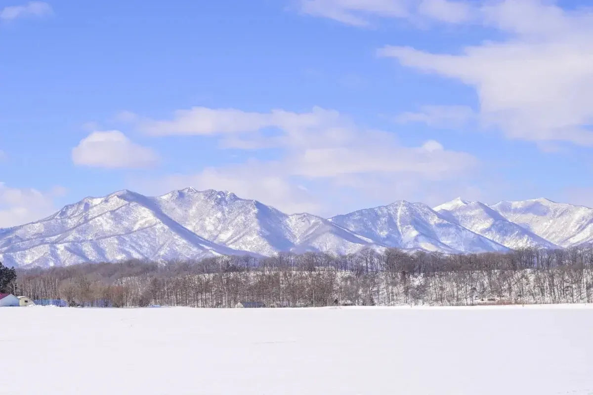 山形で作られた国産位牌