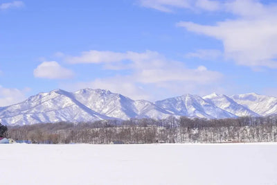 山形で作られた国産位牌
