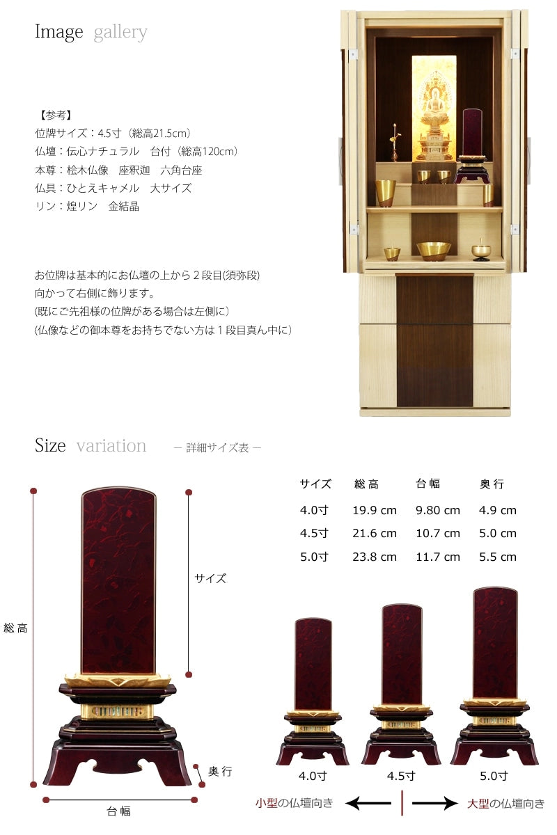会津 最高級位牌 舞椿 さざれ波 金古木 仕様のサイズ参考画像。