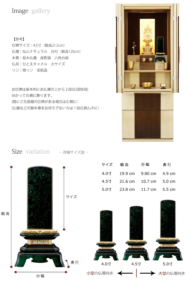 会津 最高級位牌 舞椿 さざれ波 エメラルドグリーン 仕様のサイズ参考画像。