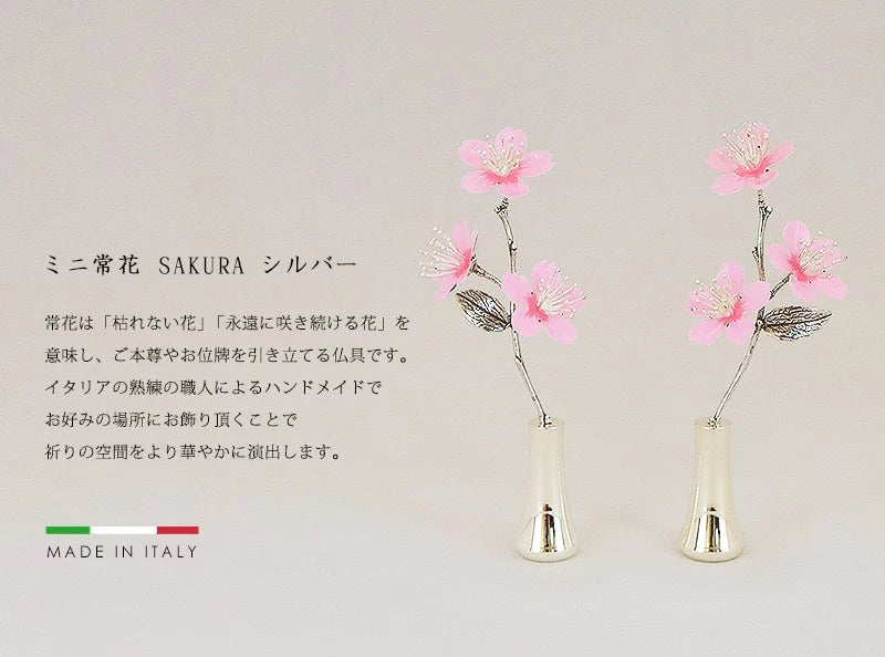 ミニ常花 サクラ シルバーの商品画像1枚目