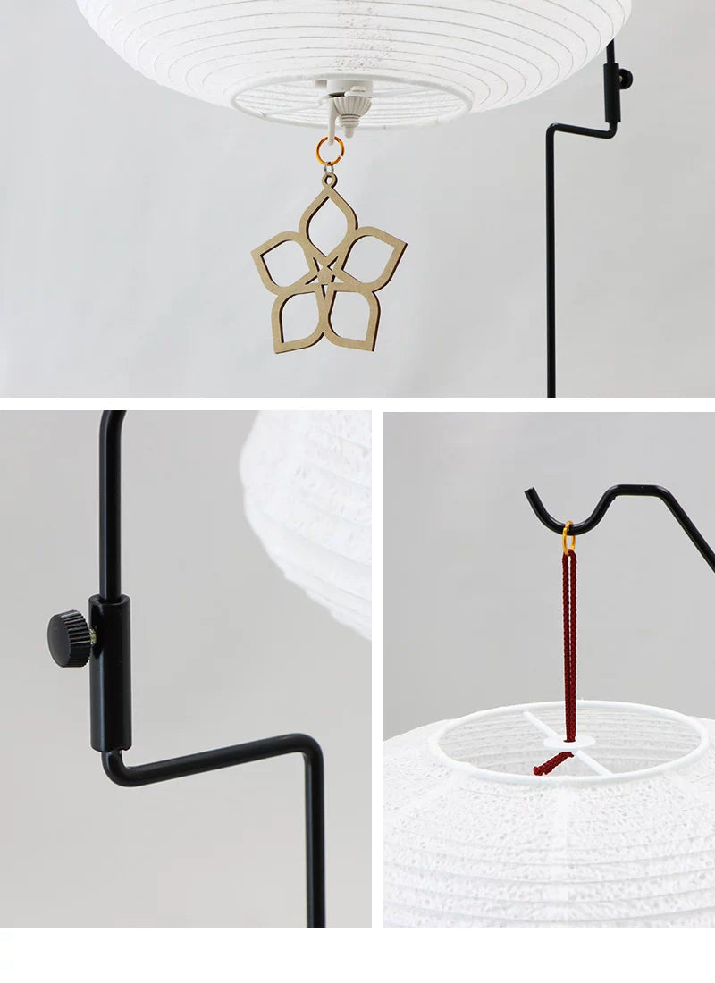 様々な角度からのイメージ