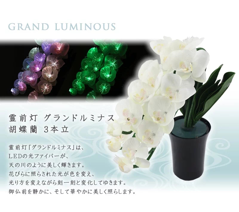 霊前灯 グランドルミナス 胡蝶蘭 3本立 | 仏具の通販 | インテリア仏壇