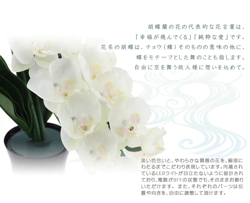 霊前灯 グランドルミナス 胡蝶蘭 3本立の商品画像２枚目