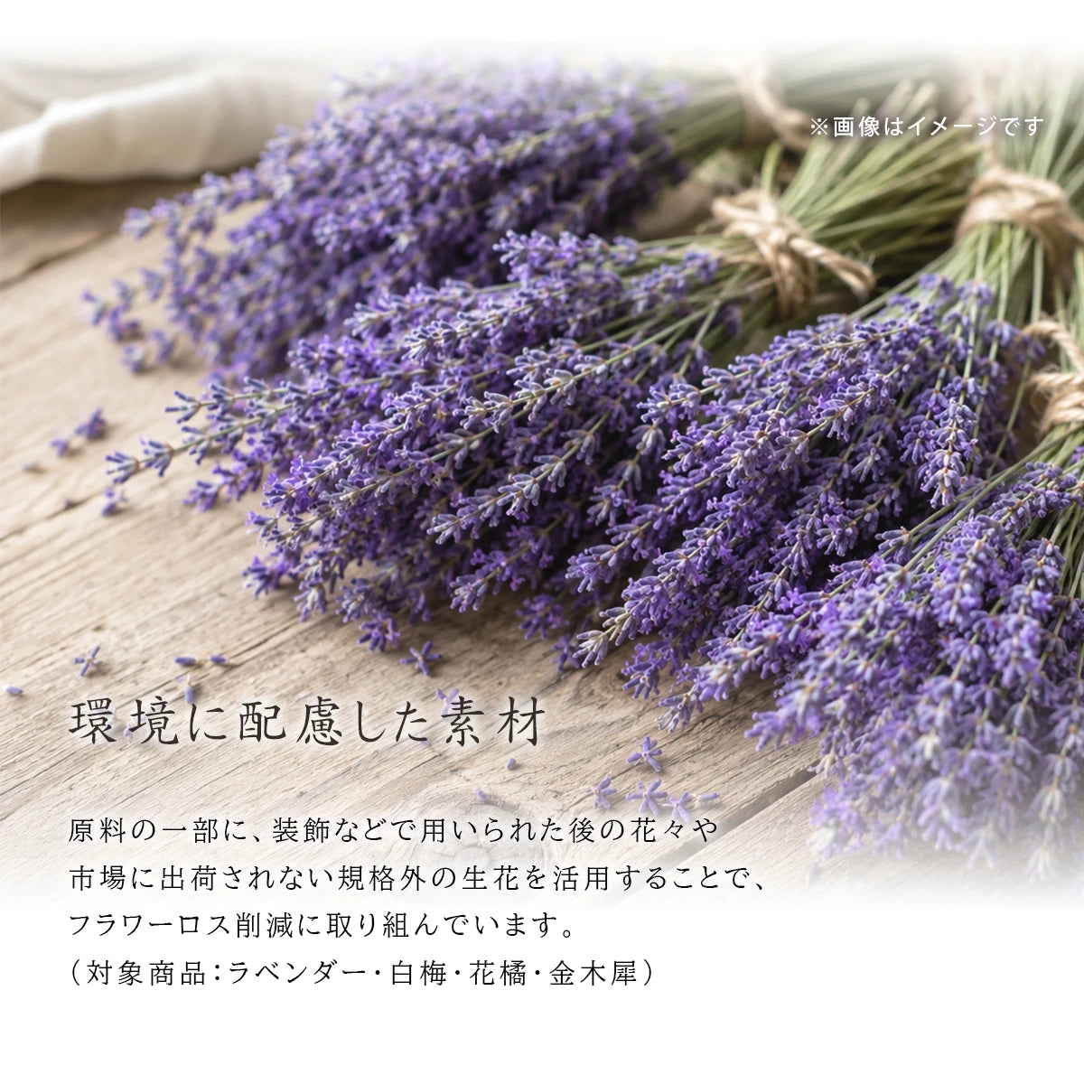 花風のリニューアル概要とラベンダーのイメージ