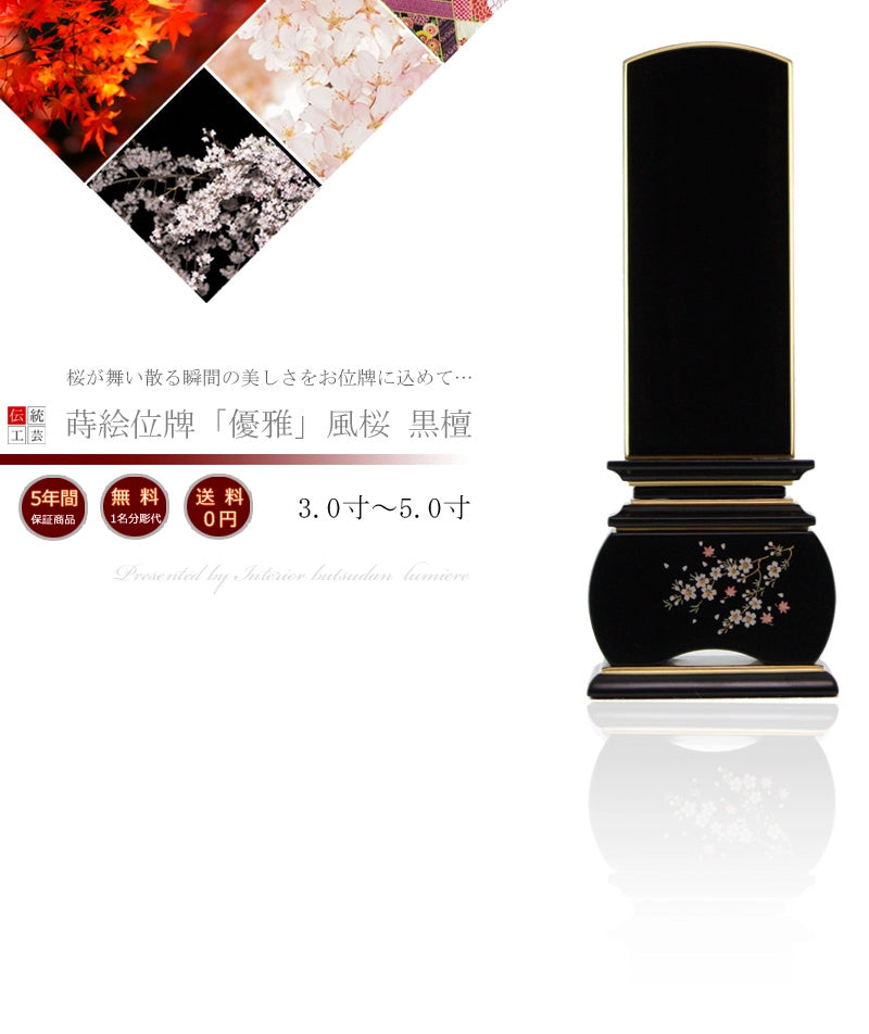 蒔絵位牌 優雅 「風桜」 黒檀の商品画像1枚目