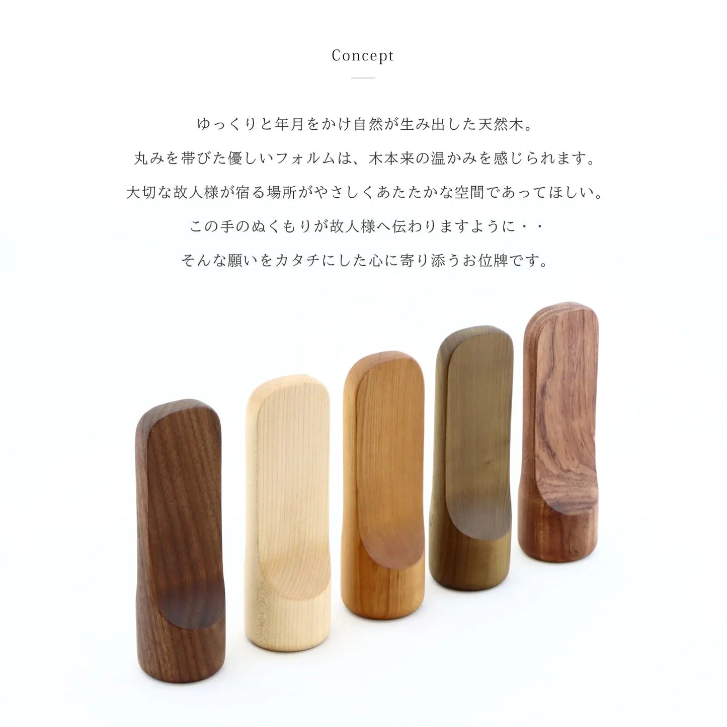 SUQQUEシリーズのコンセプトについて
