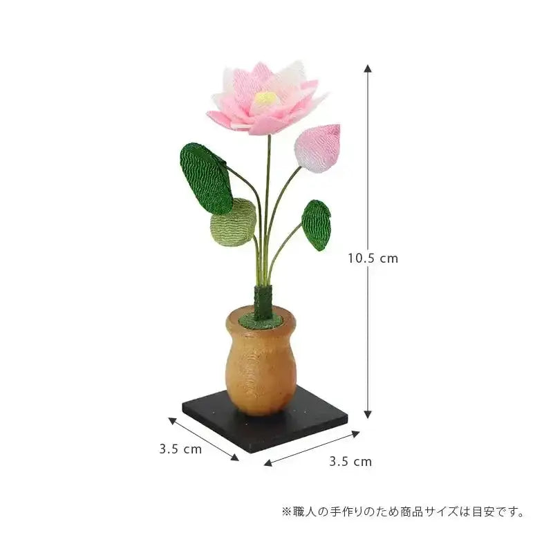 ※※※出品予定※※※　ちりめんはすの実　お飾り　蓮の実 出品予定※※※ ちりめんはすの実 お飾り 蓮の実 2025年