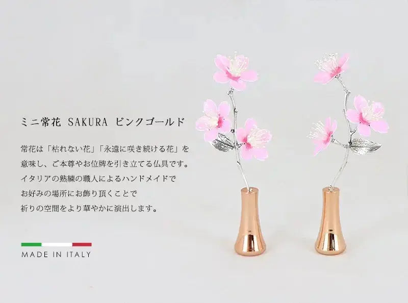 ミニ常花 サクラ ピンクゴールドの商品画像1枚目