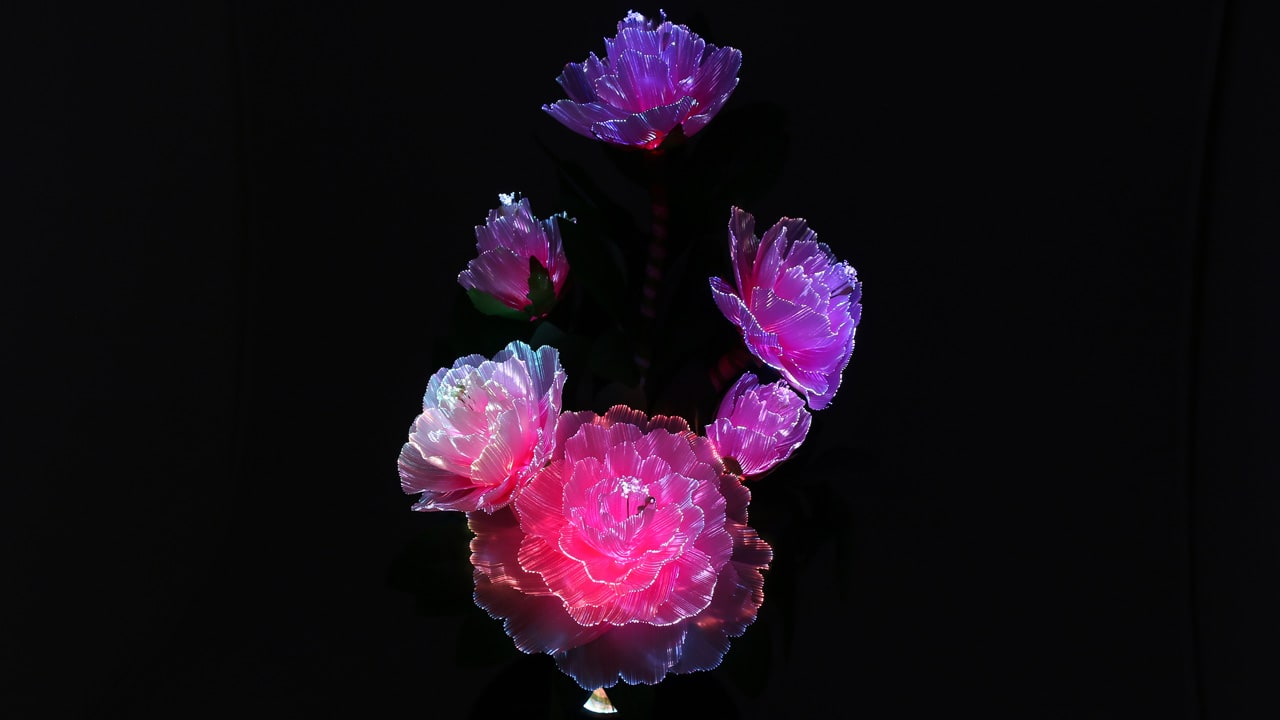 LEDで牡丹の花が華やかに光り、色が変化する霊前灯です。お仏壇や祭壇を彩る霊前灯、お盆飾りなどにお使い頂けます。本動画では、LEDライトの美しい光の変化をご紹介しています。