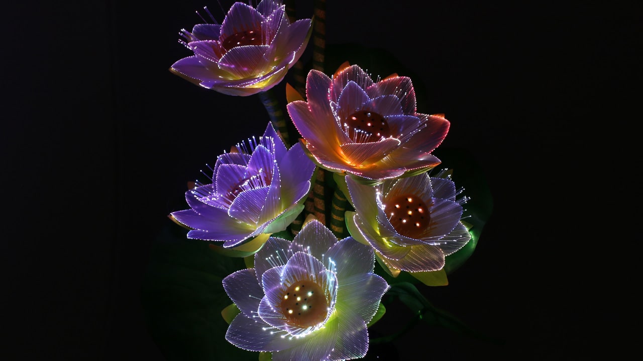 LEDで蓮の華が華やかに光り、色が変化する霊前灯です。お仏壇や祭壇、お盆飾りに最適。本動画では、LEDライト点灯時の美しい光の変化をご紹介しています。