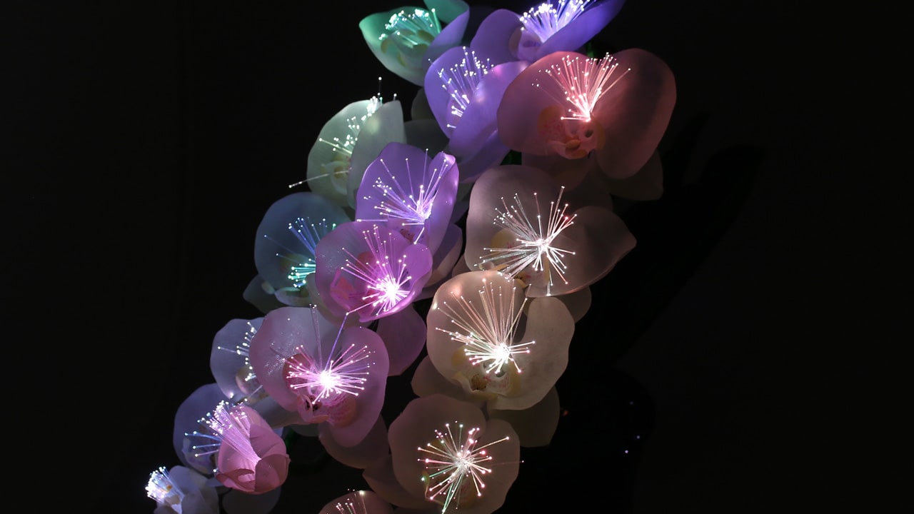LEDで胡蝶蘭が華やかに光り、色が変化する霊前灯です。お仏壇や祭壇、お盆飾りに最適。本動画では、LEDライト点灯時の美しい光の変化をご紹介しています。