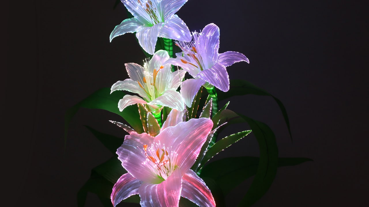 LEDでボリュームのある白百合に華やいだ光が色変わりに灯ります。お仏壇や祭壇を彩る霊前灯、お盆飾りなどにお使い頂けます。本動画ではLEDライトをつけた際の光の変化を説明しております。