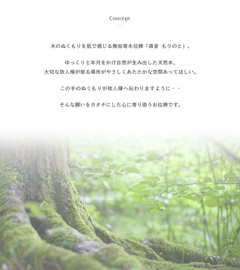 森音シリーズのコンセプトについて