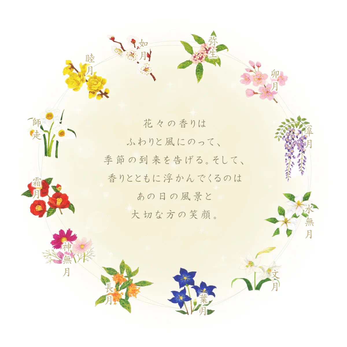 カメヤマローソク 名香 月の花 各種【自宅用線香】 | 小物の通販 カメヤマローソク 名香 月の花 各種【自宅用線香】 | 小物の通販